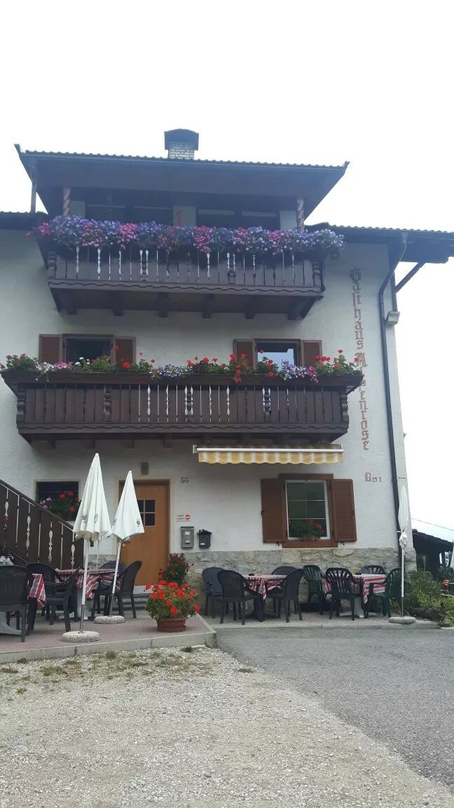 Alpenrose