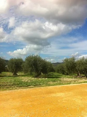 Sicilian Guide Francesca Lombardo