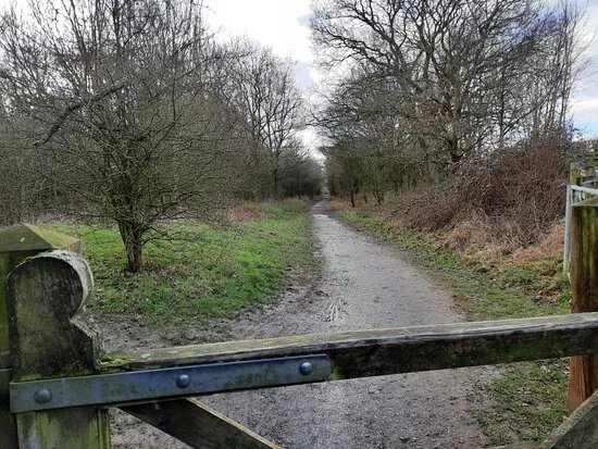Maidwell To Kelmarsh Rail Walk.