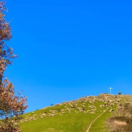 Abruzzo Promozione Turismo