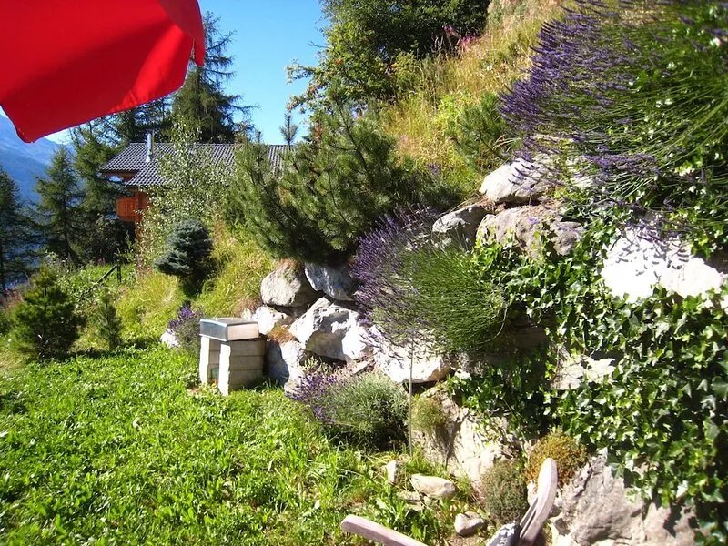 Single chalet with special comfort in the middle of the ski area 4-vallées