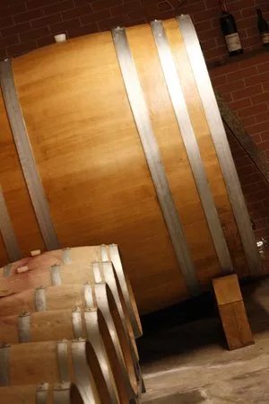 Azienda Agricola Carlo Giacosa