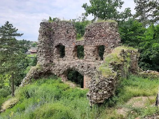 Hrad Zebrak