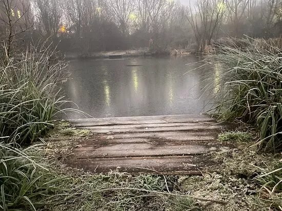Quedgeley Ponds