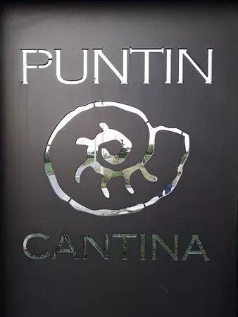 Vini Puntin