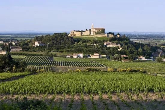 Cave Cooperative de Cairanne