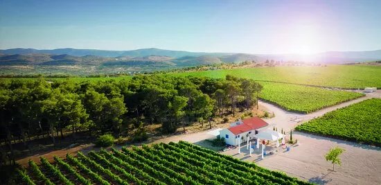 Testament Winery