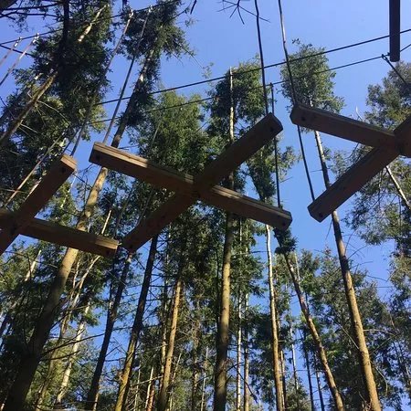 The Tunnel Tree Tops High Ropes