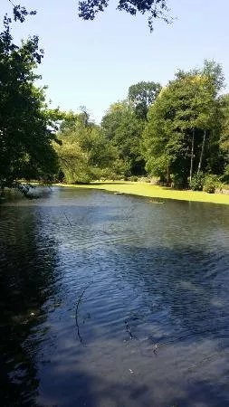 Tarn Bird Sanctuary