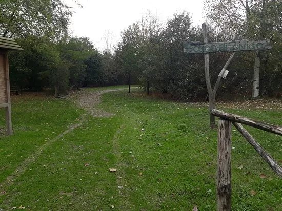 Oasi WWF Bosco di Zivido