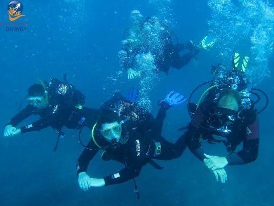 Blue Bottom Diving