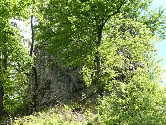 Munchsberg Ruins
