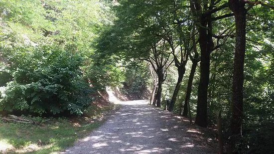 Parco della Maddalena