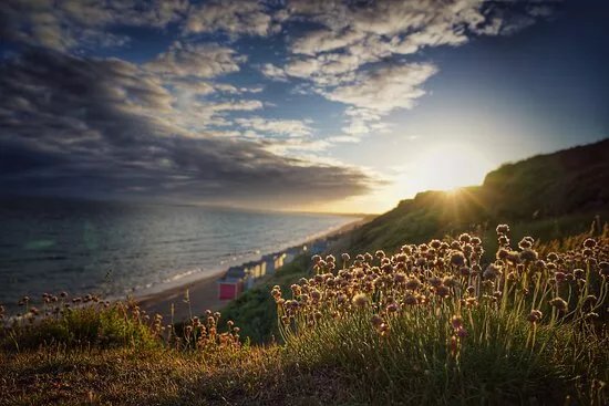 Milford On Sea Guided Walks