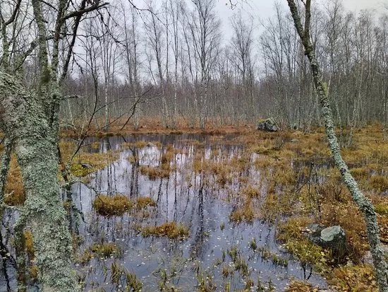 Bjorko-Panike Hiking Trail