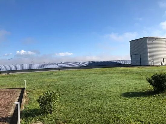 European Gravitational Observatory
