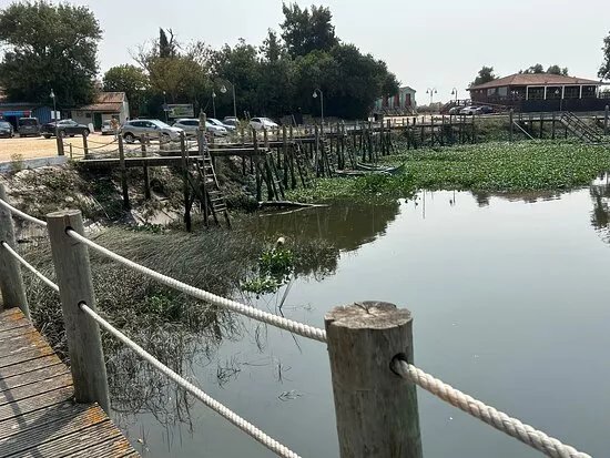 Marina de Escaroupim
