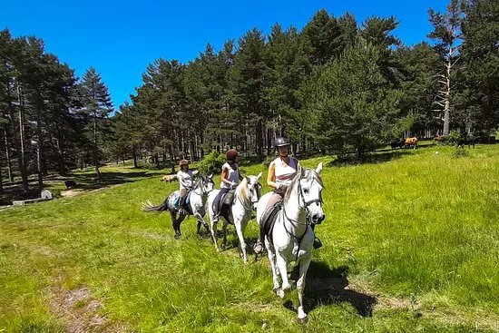 Horse Riding in Madrid - Guadarrama