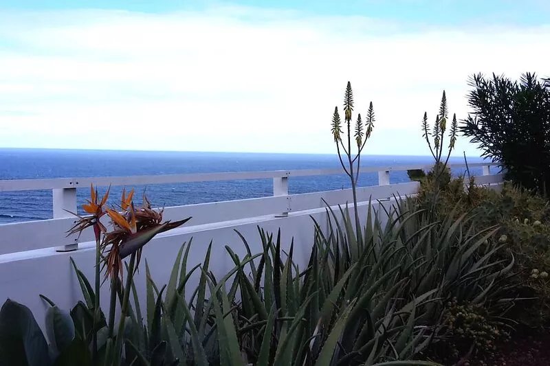 Holiday house with sea, coast and mountain views in the green north of Tenerife