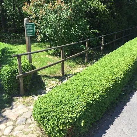 Barfusspfad Bad Wuennenberg