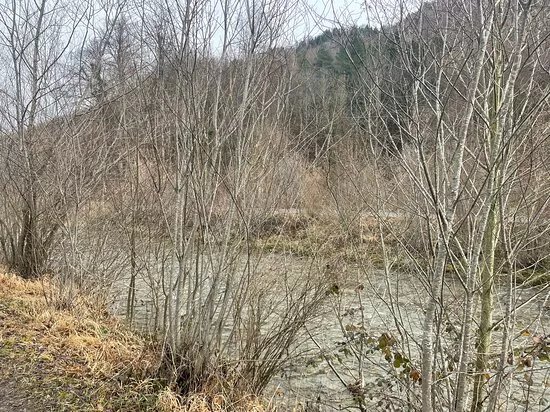 Elmof