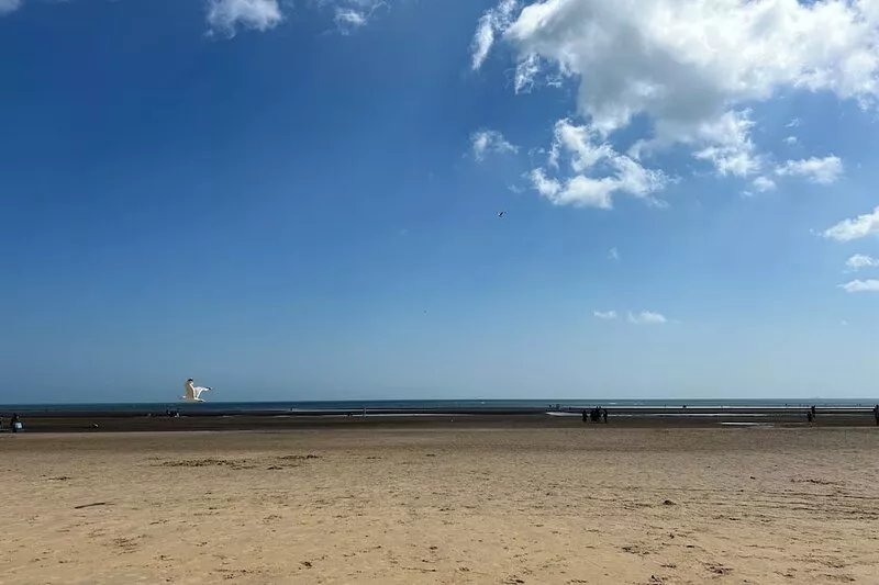 Our cosy chalet is just a 5-minute stroll from the golden sands of Camber Beach.