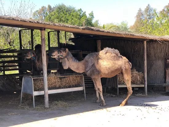 La Pequena Africa Animal Reserve