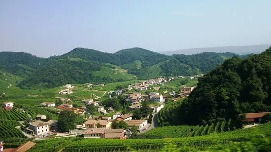 Ca'Salina still and sparking wines