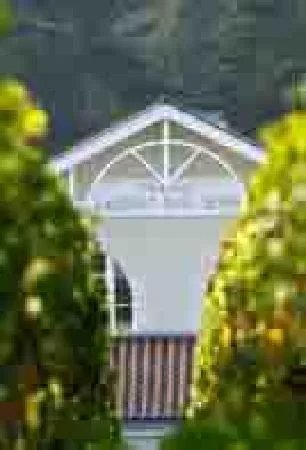 Chateau Larrivet Haut-Brion