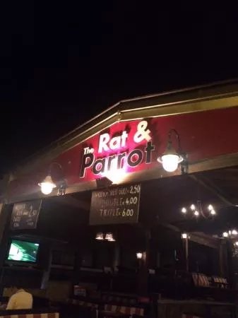 Rat and Parrot