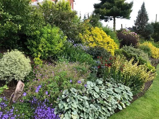 Meadow Farm Garden and Nursery