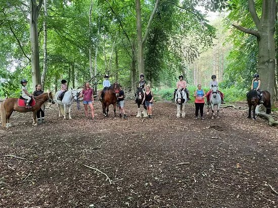 Pony Trekking Thetford Forest