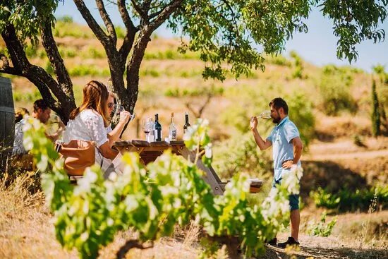 El Brogit Ecotourism Travel Agency  in Catalonia