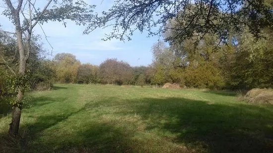 Cople pits nature reserve