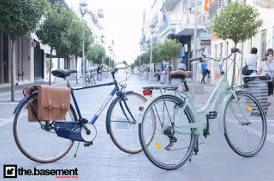 The Basement Bike & Street Shop