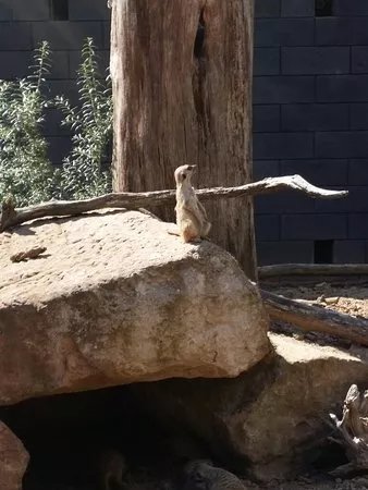 Tierpark Alsdorf