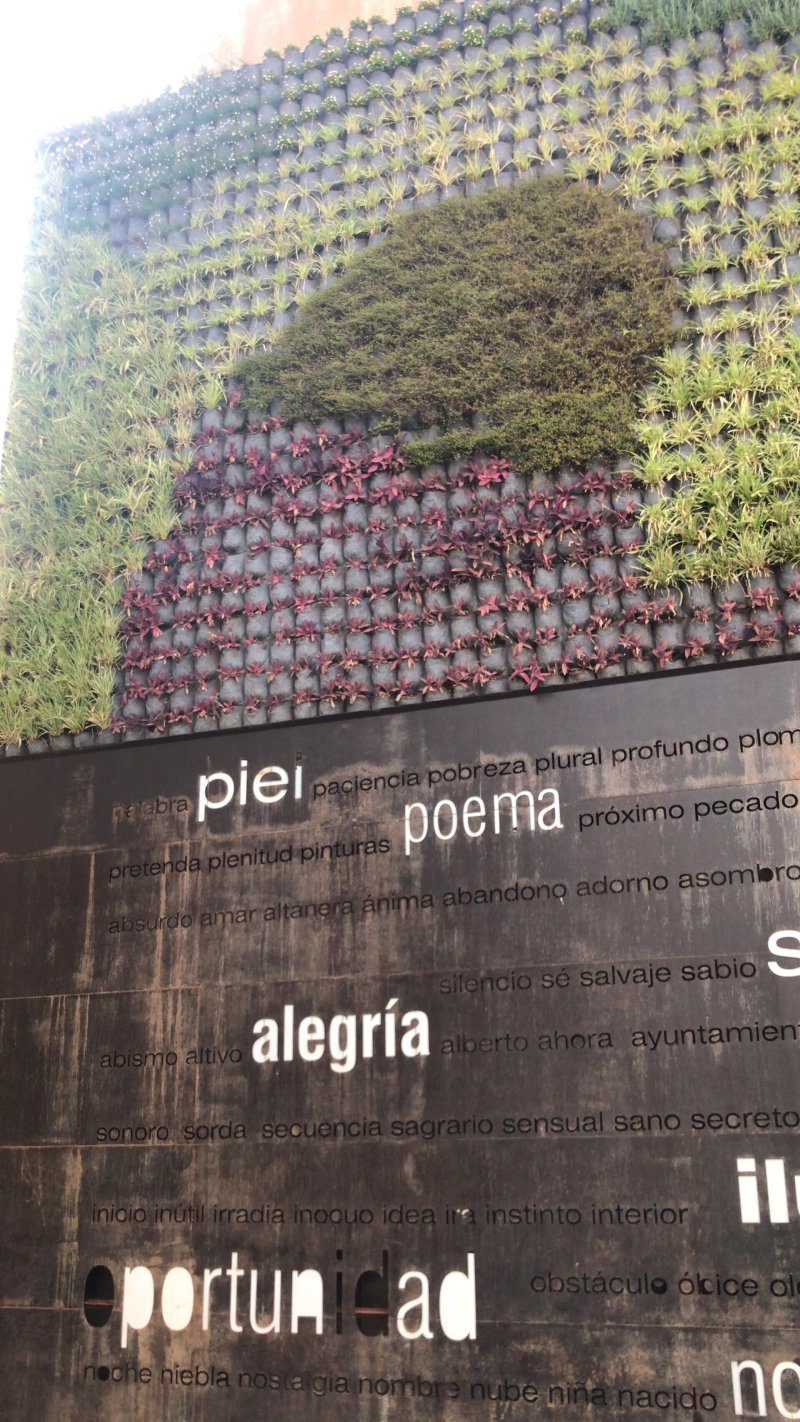 Jardin Vertical En La Plaza Del Pericon