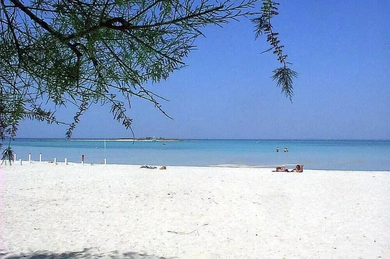 HOLIDAYS IN SALENTO: MASSERIA POOL SUN AND SEA! PETS ARE WELCOME!