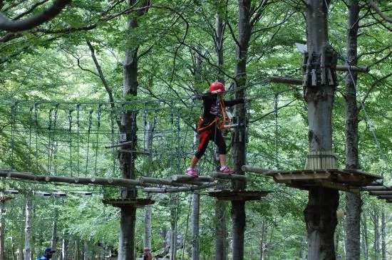 Parco Avventura Forestavventura