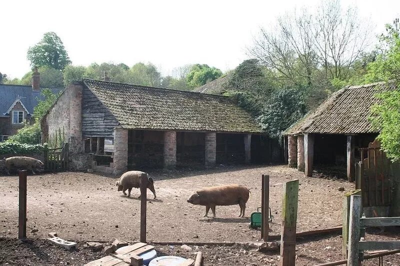 Cosy C17th pet-friendly Cottage: WIFI, Woodburner, Enclosed Garden & Parking