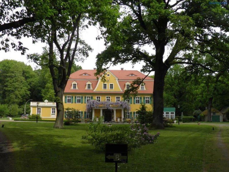 Das Fledermausschloss