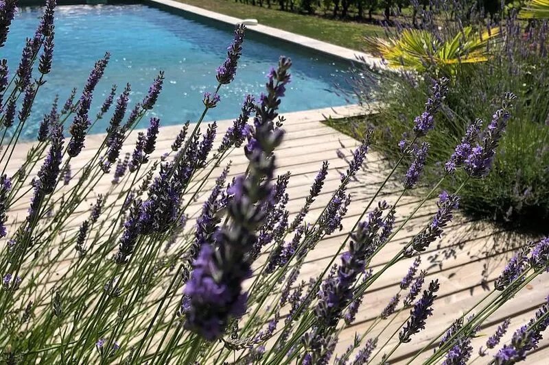 CHARMING  HOUSE WITH SUPERB SWIMMING POOL NEAR THE GRAND COLOMBIER.