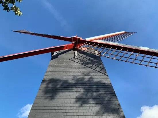 De Nieuwe Papegaai