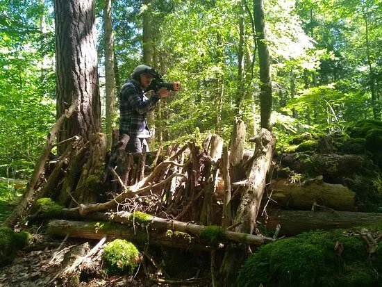 La Foret Des Arboris