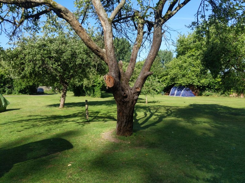 Radwell Lake Campsite