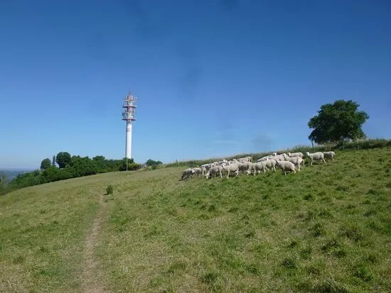 Espace Naturel Sensible de la Cote Saint-Amand