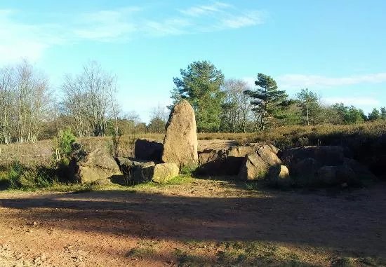 Mehlinger Heide