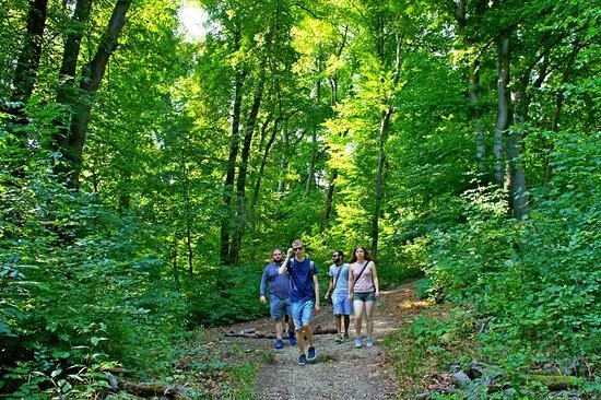 Trails of Budapest Hiking Tours