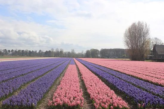 Old Zandvliet Farm