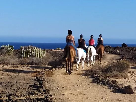 Horse Riding Finca La Bonita